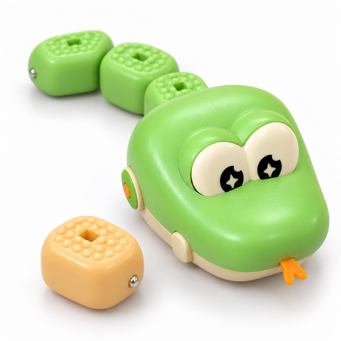 Le serpent vert et sa queue composée de segments